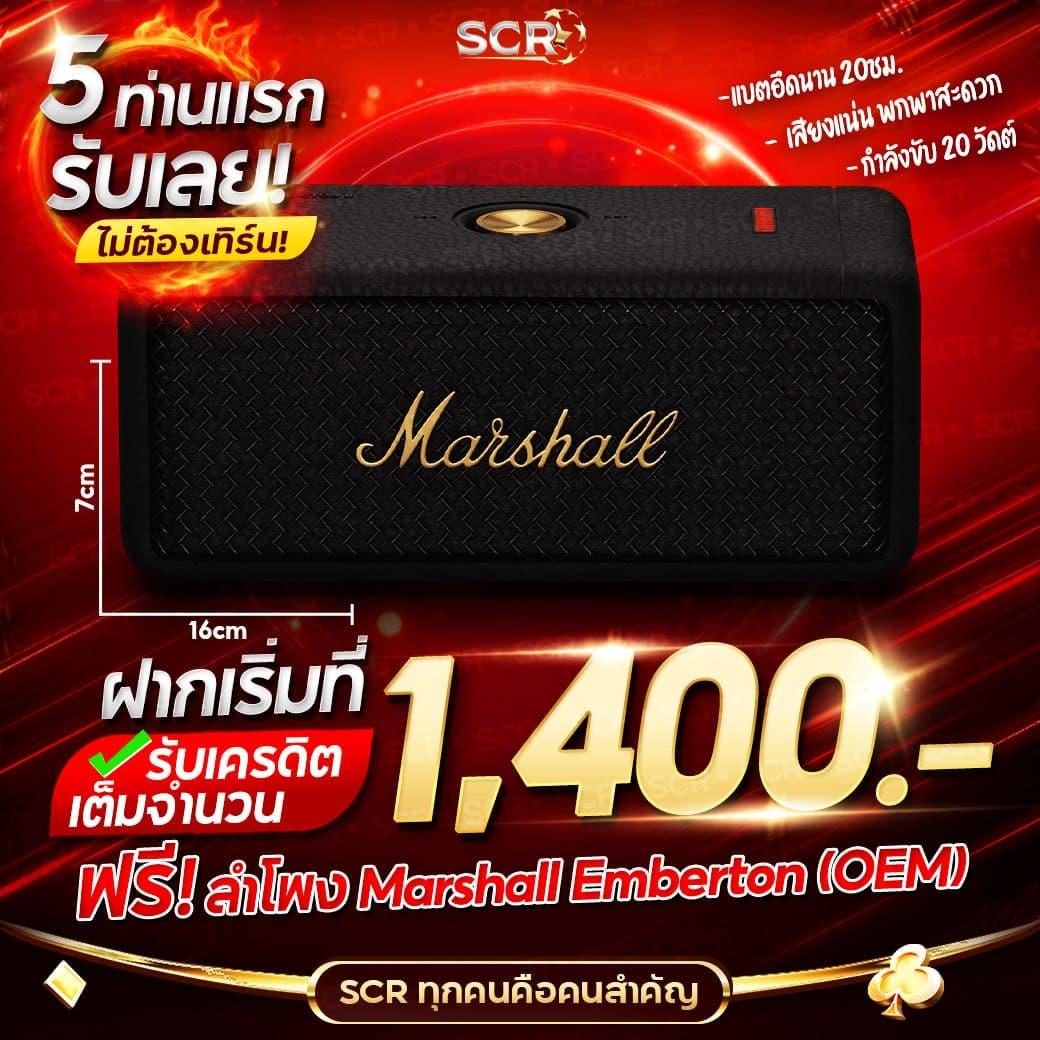 ฟีเจอร์เกมโบนัส