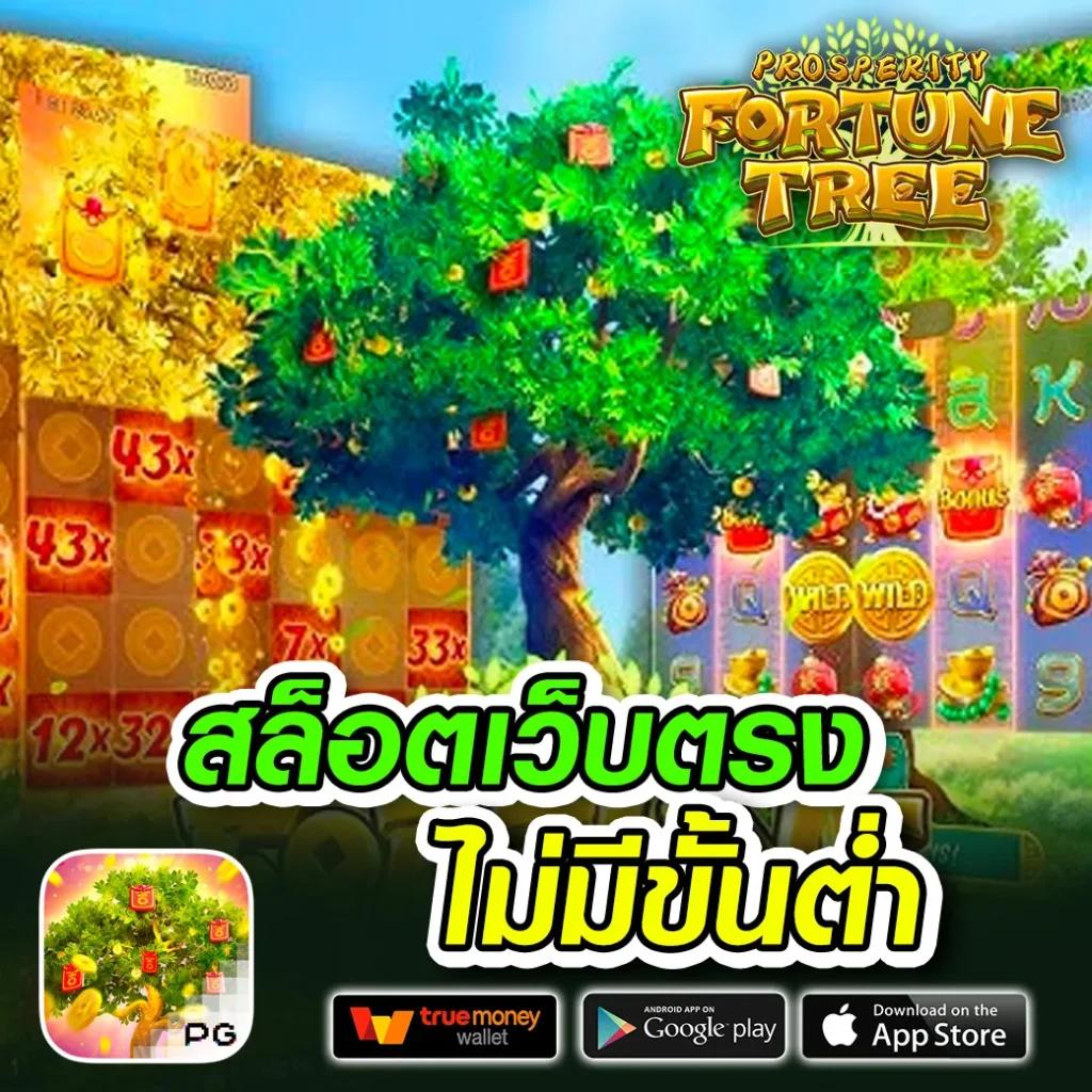 โบนัสและโปรโมชั่นที่หลากหลาย